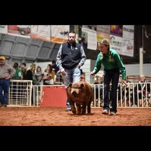 Meet your Posher, Kamryn